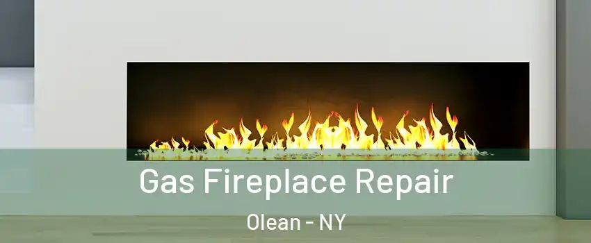  Gas Fireplace Repair Olean - NY