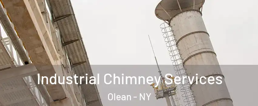  Industrial Chimney Services Olean - NY