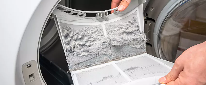 Best Dryer Lint Removal Company in Olean, New York