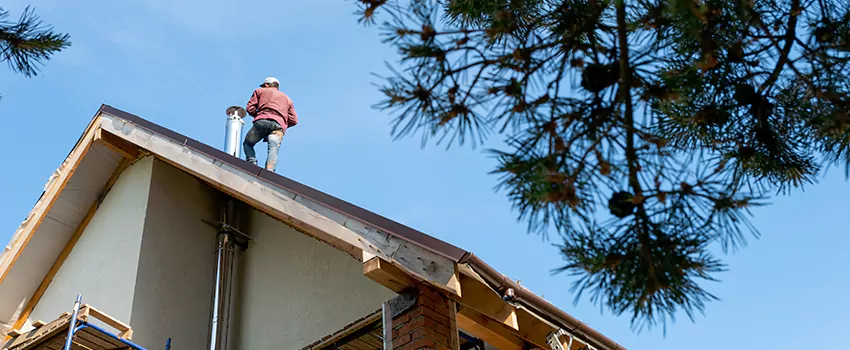 Birds Removal Contractors from Chimney in Olean, NY