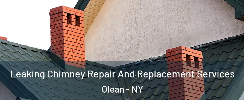  Leaking Chimney Repair And Replacement Services Olean - NY