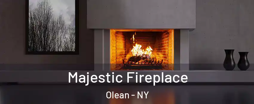  Majestic Fireplace Olean - NY