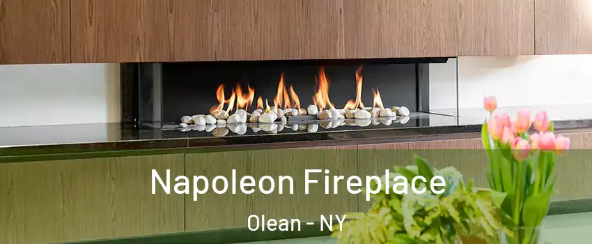  Napoleon Fireplace Olean - NY