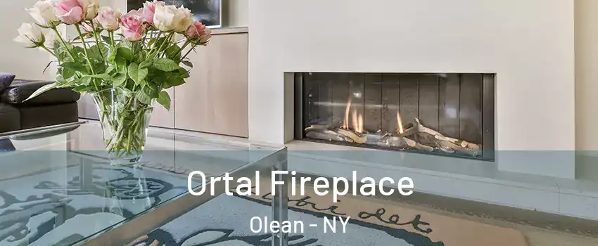  Ortal Fireplace Olean - NY