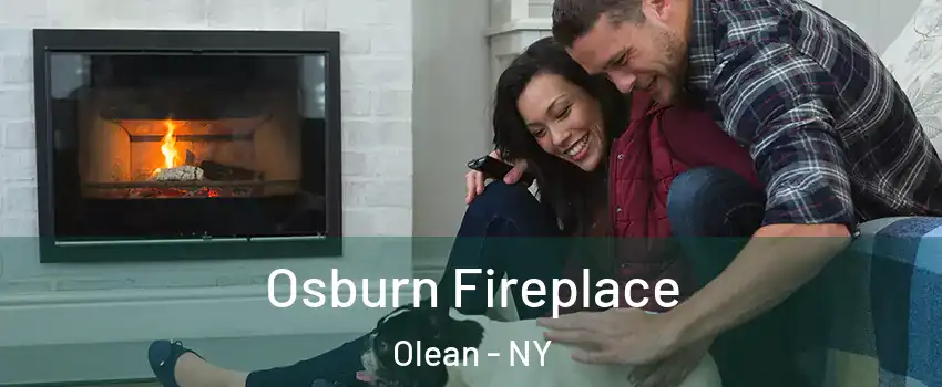  Osburn Fireplace Olean - NY