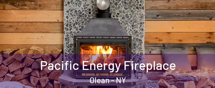  Pacific Energy Fireplace Olean - NY