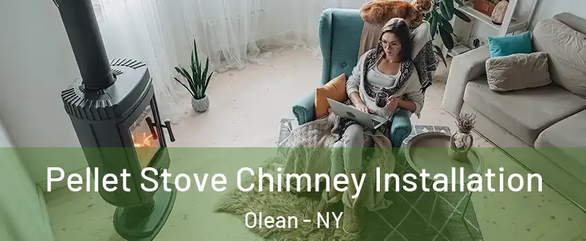  Pellet Stove Chimney Installation Olean - NY