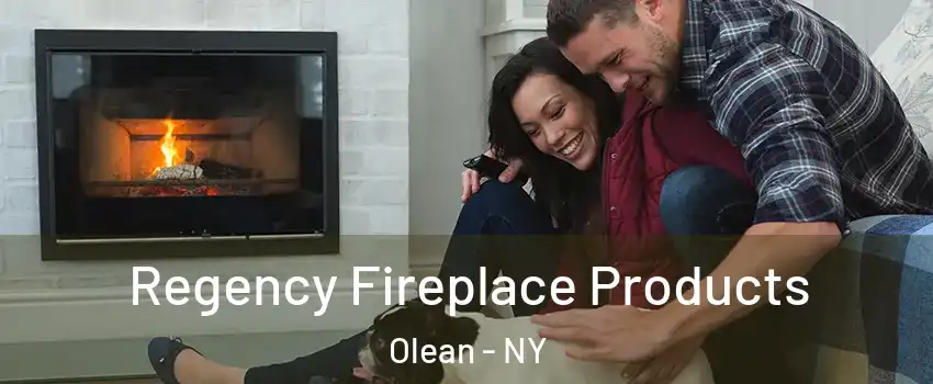  Regency Fireplace Products Olean - NY