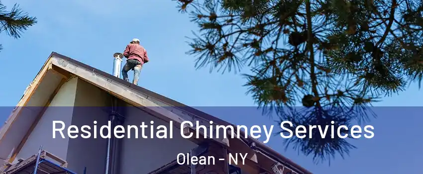  Residential Chimney Services Olean - NY