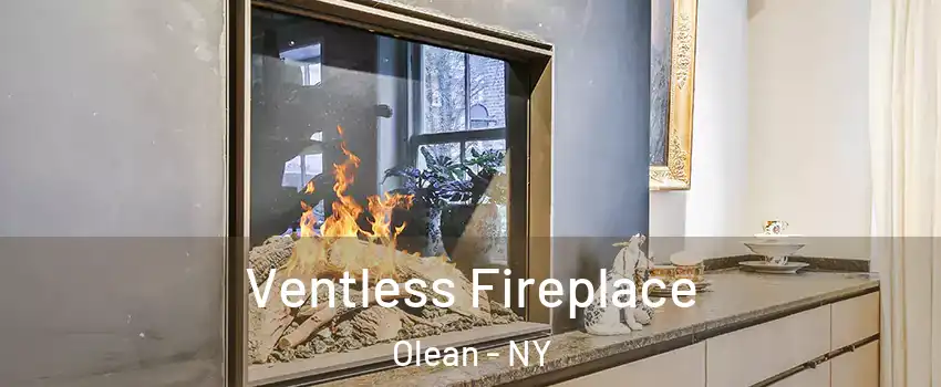  Ventless Fireplace Olean - NY