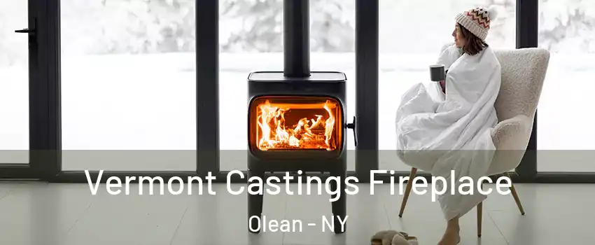  Vermont Castings Fireplace Olean - NY